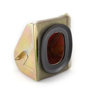 Oro filtro elementas 125cc (trikampis)